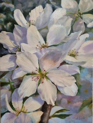 �������� ����������