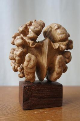 ������� ����. �������� �������