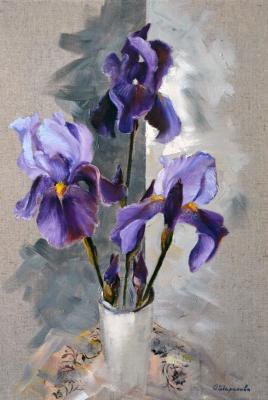 ����� ������. ���������. �������� �����