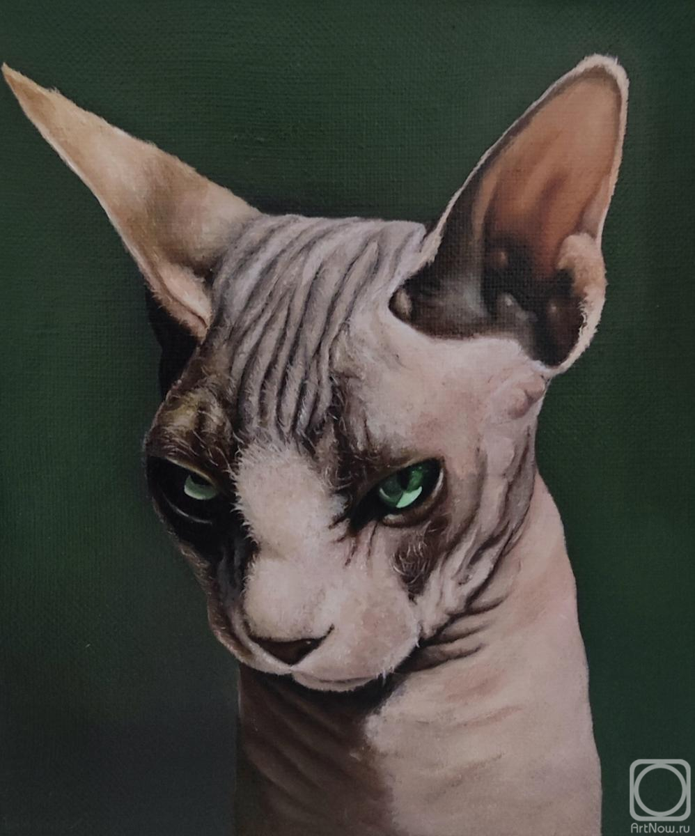 ������� ������ �� ������. �������� ������. ��� ������ �������