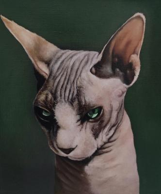 ��� ������ �������. �������� ������