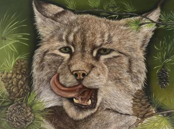 ���� ����� �������. �������� ������