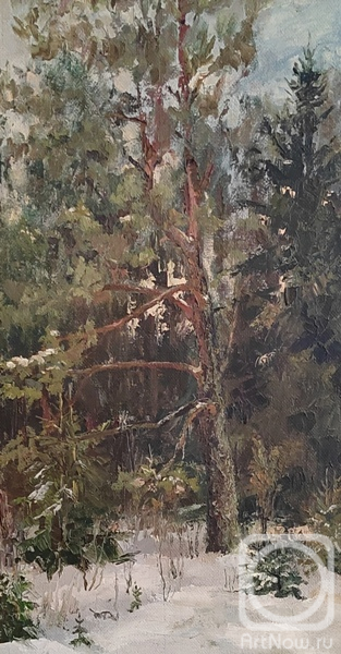 �������. ���������� ������. ��������� �����