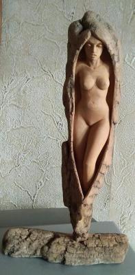 ������� � ����