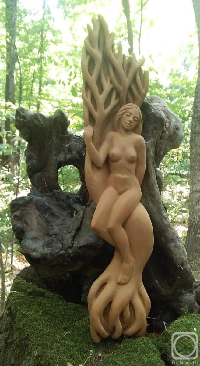 �������� �������. �����