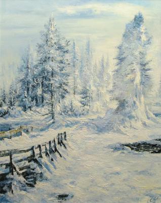 The winter bridge. Popov Alexander