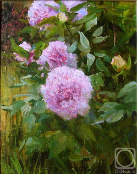 ������� ������ �� ������. ������� ����. ����