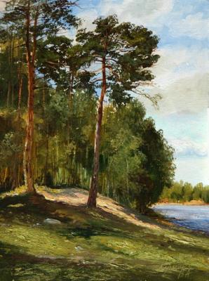 Two pines. Kulikov Vladimir