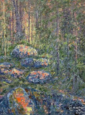 Sunset in the forest