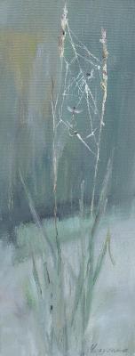 �������. �������� �����