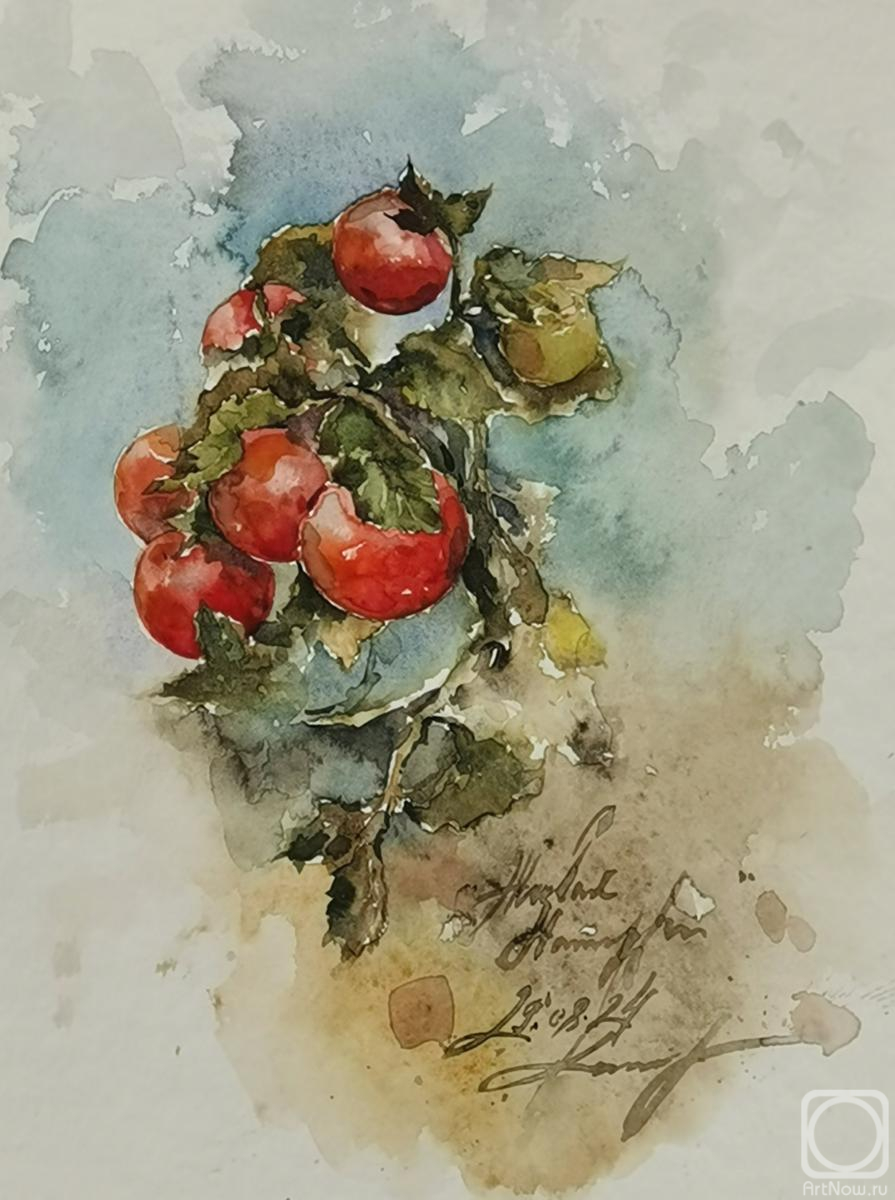 �������. ���������� ��������. ����� ������