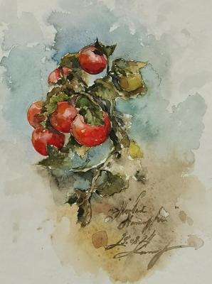 ����� ������. ���������� ��������