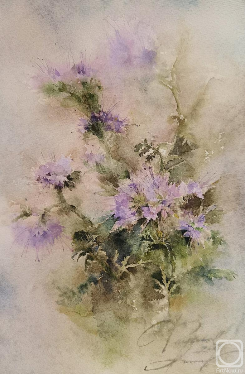 �������. ���������� ��������. �������