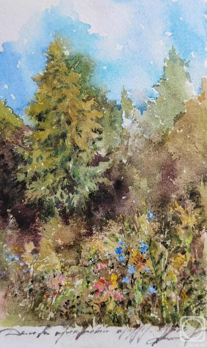 �������. ���������� ��������. ���� �� ���������� �����