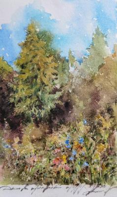 ���������� �������� ����������. ���� �� ���������� �����