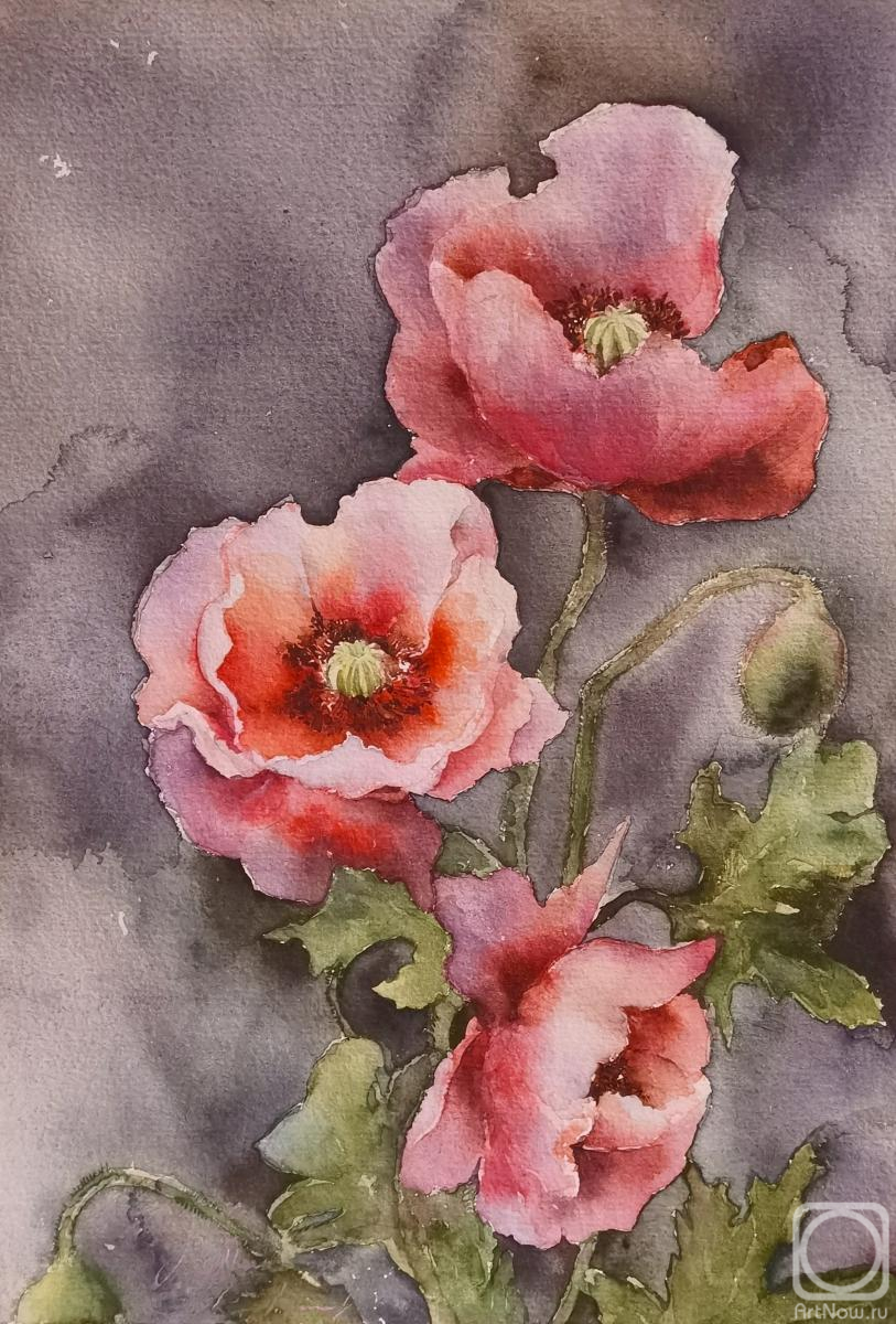 �������. ���������� ��������. ������� ���