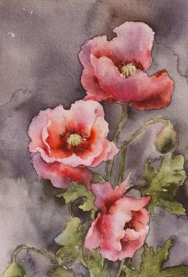 ������� ���. ���������� ��������