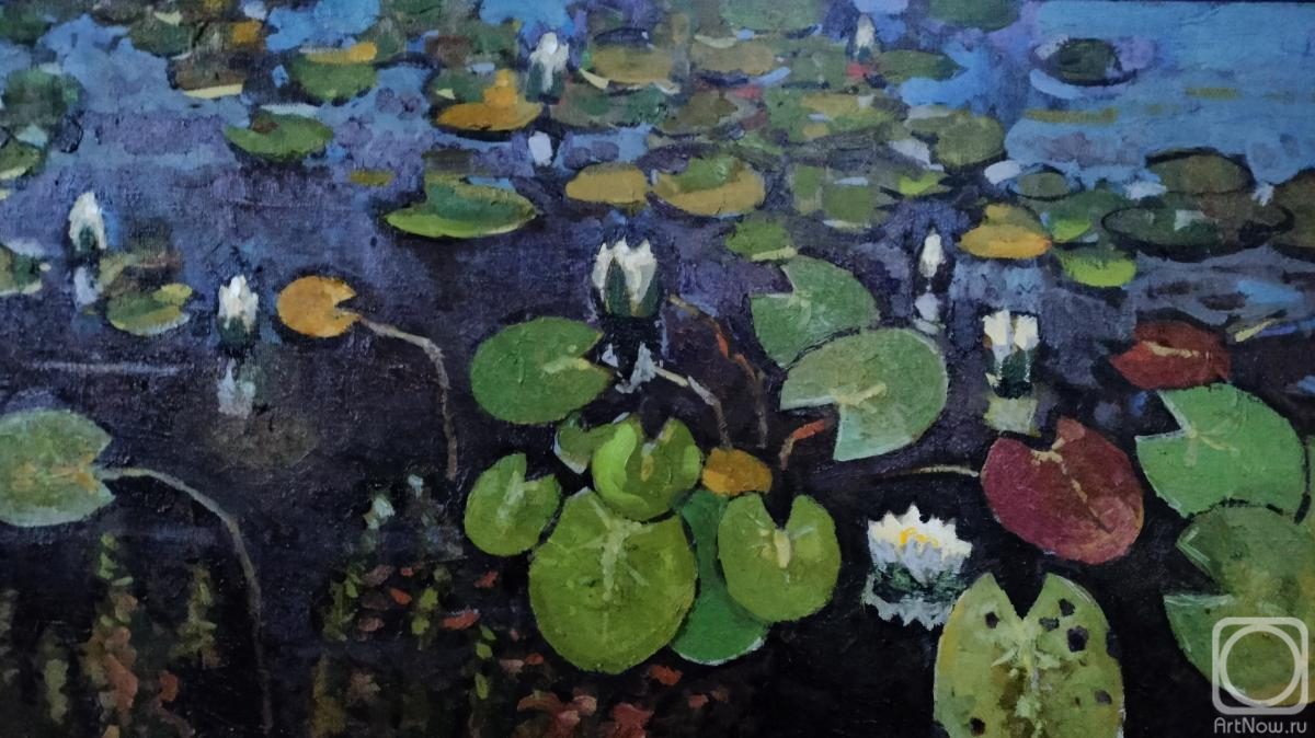 ������� ������ �� ������. ������� �������. ظ��� �� ������ �����