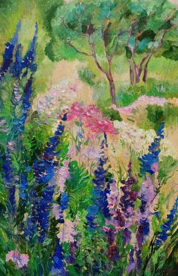 ��� (���������� � ����). ��������� �������