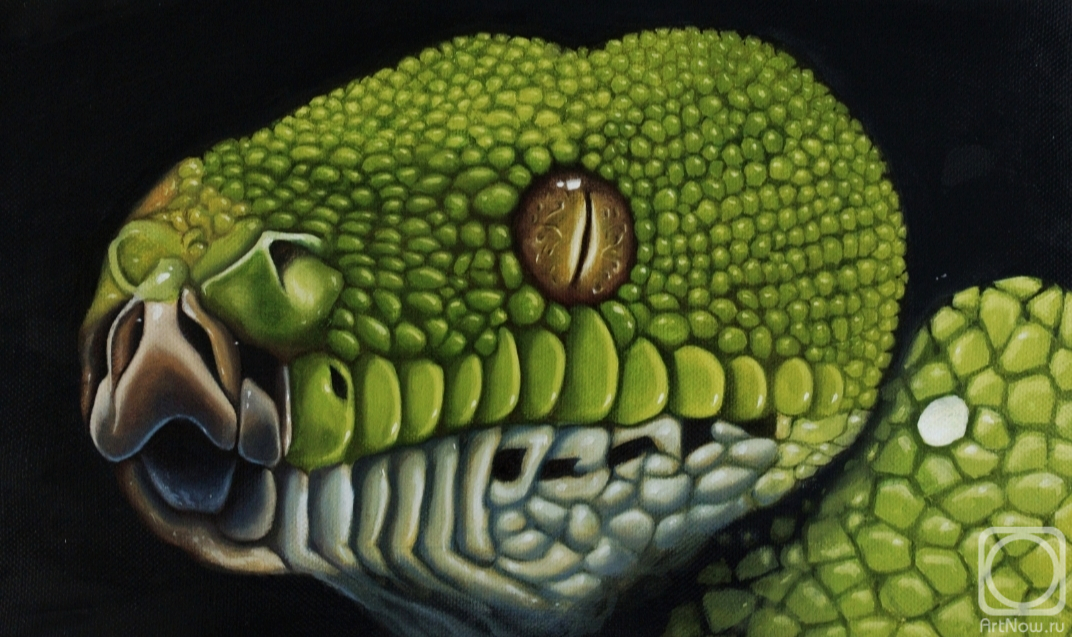 ������� ������ �� ������. �������� ������. ������� ����