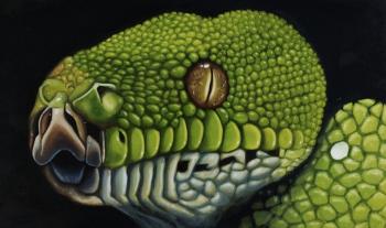 ������� �������� �����