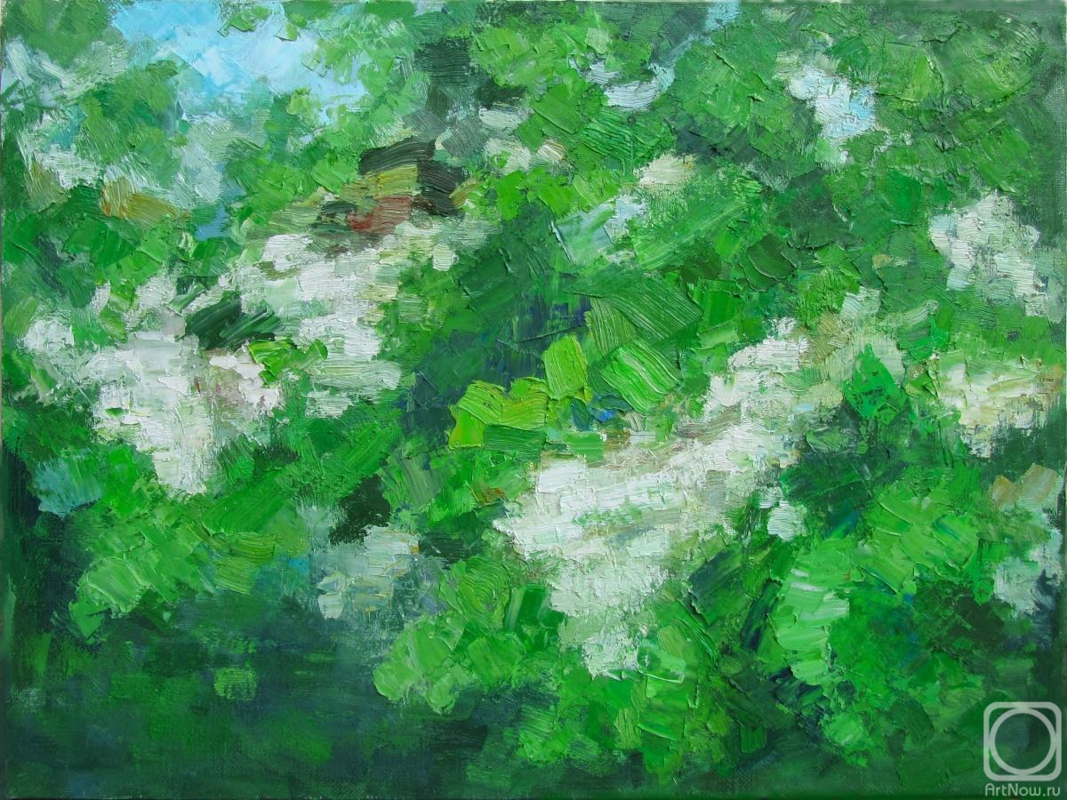 ������� ������ �� ������. ������� ��������. ����� ������