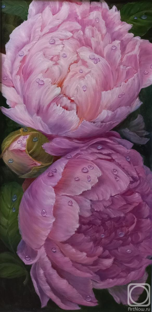 ������� ������ �� ������. ������� �����. ����� ����� �����