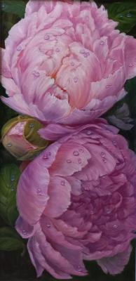 ����� ����� �����. ������� �����