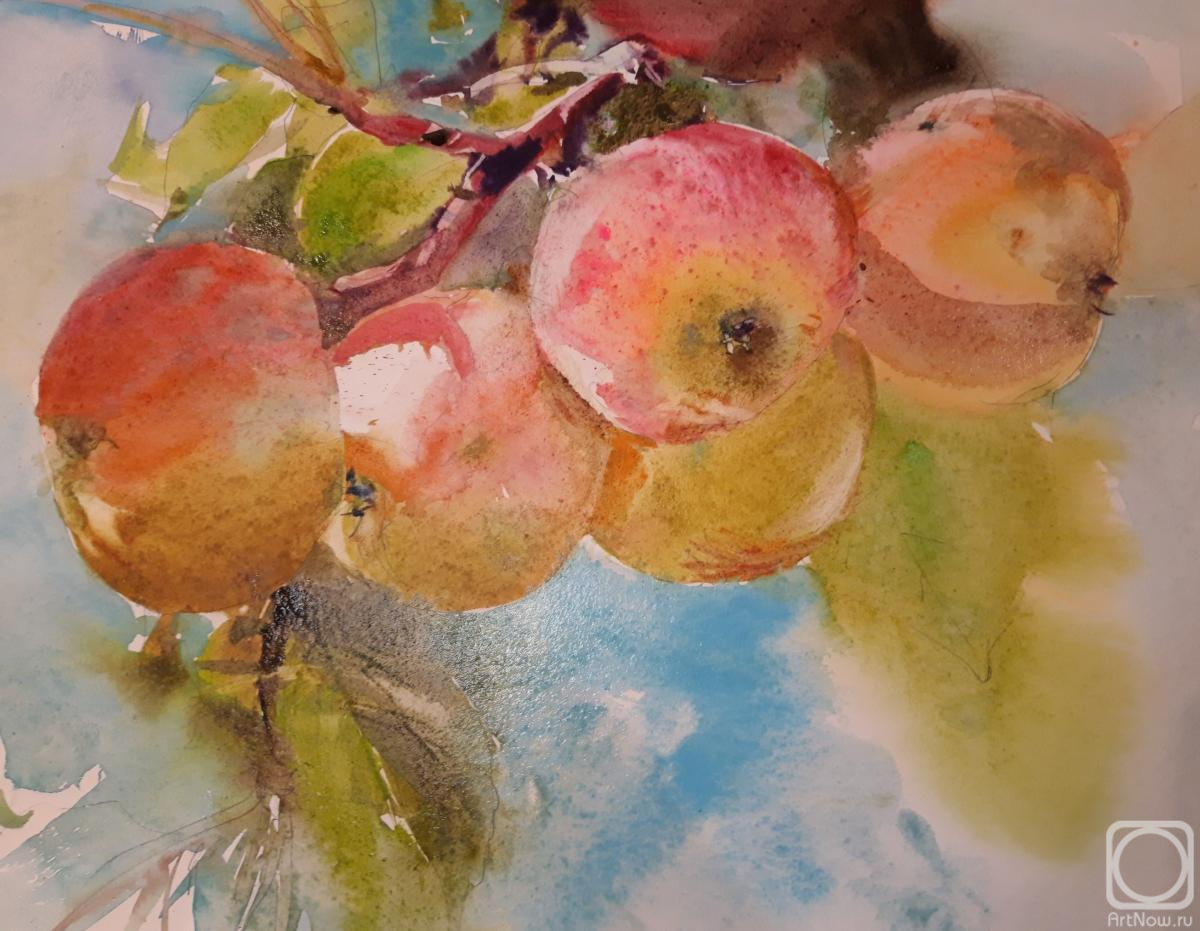 �������. ������� ��������. �������� ����