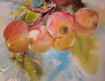 �������� ����. ������� ��������