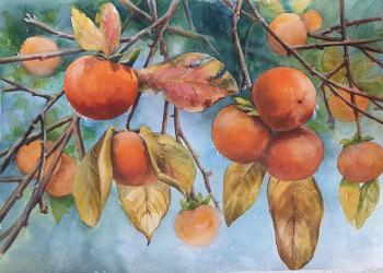 Autumn breath. Persimmon