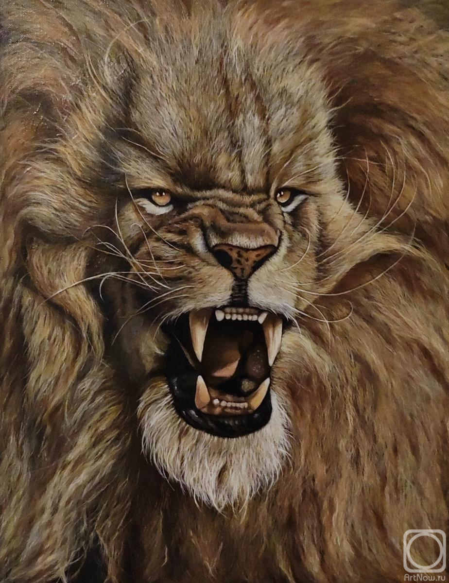 ������� ������ �� ������. �������� ������. Lion ���