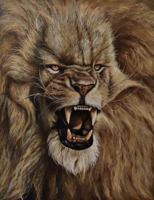 ������� �Lion ���