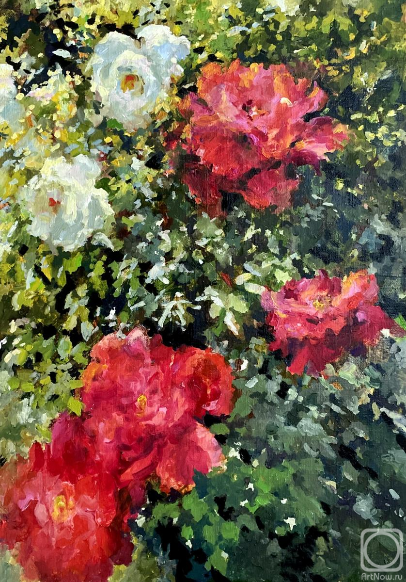 ������� ������ �� ������. ������ �����. ������ 2024