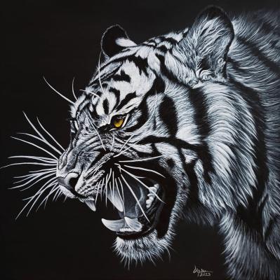 ���������. ����