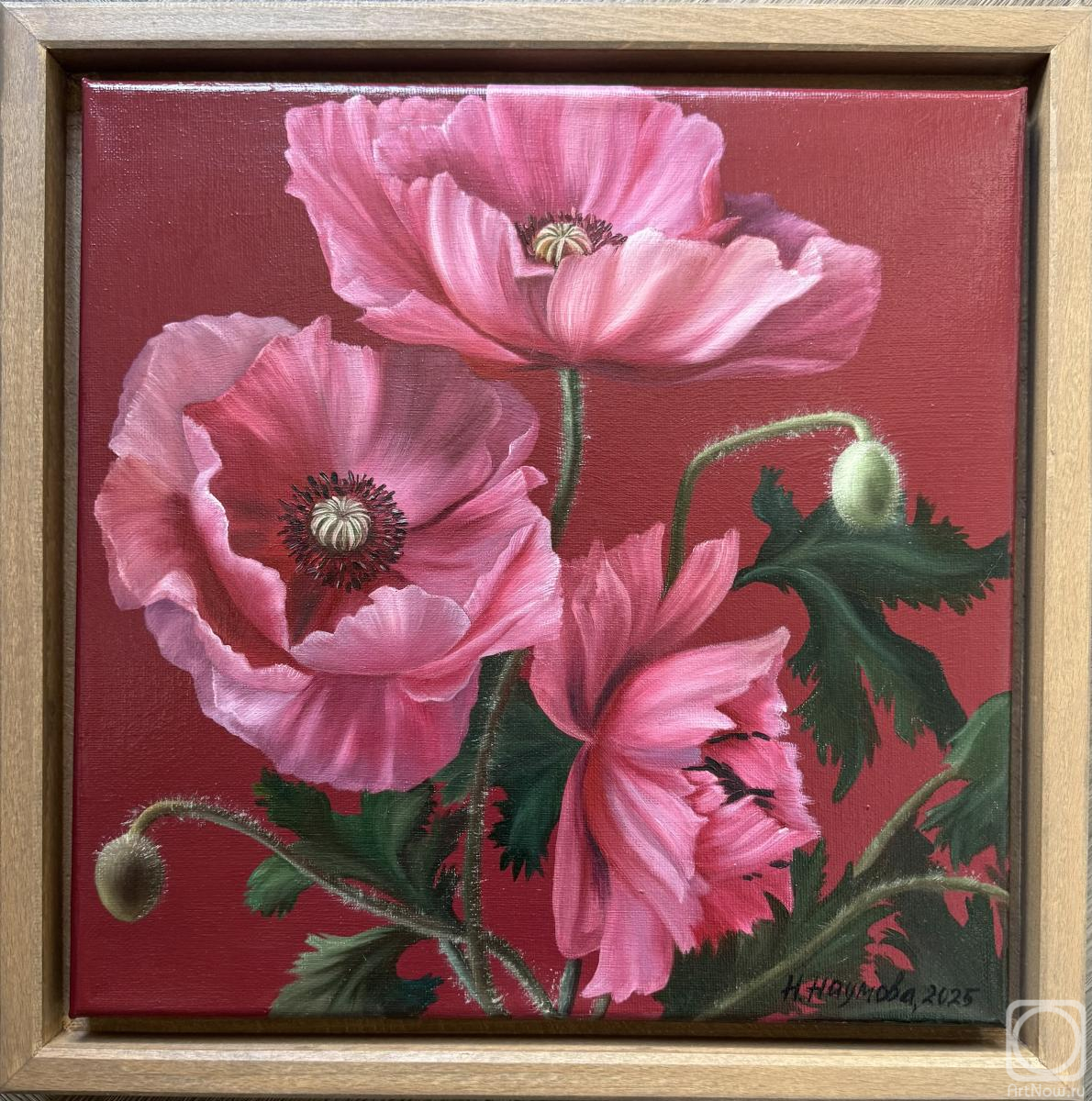 ������� ������ �� ������. ������� �������. ��������� "����"