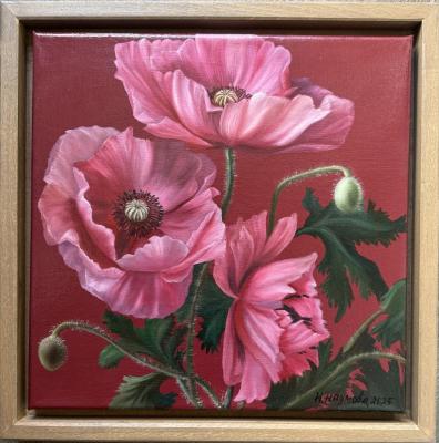 ������� ���������� "����"�