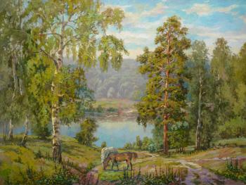 ������� ���������� ����