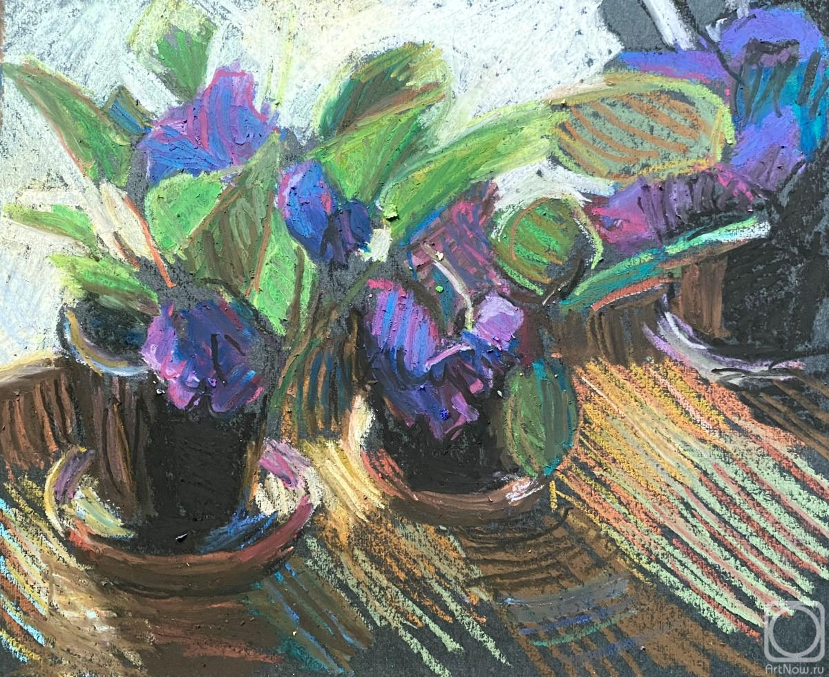 �������. ������� ����������. ��������� ����