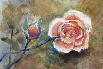 �����. ��������� �����