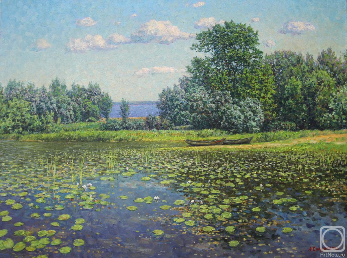 ������� ������ �� ������. ���������� ������. �������� �������