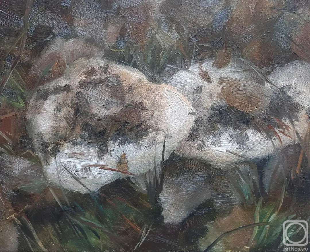 �������. ��������� ����. ������