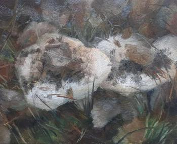 ������. ��������� ����