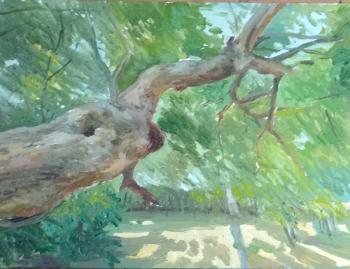 Untitled. Bochkareva Yuliya