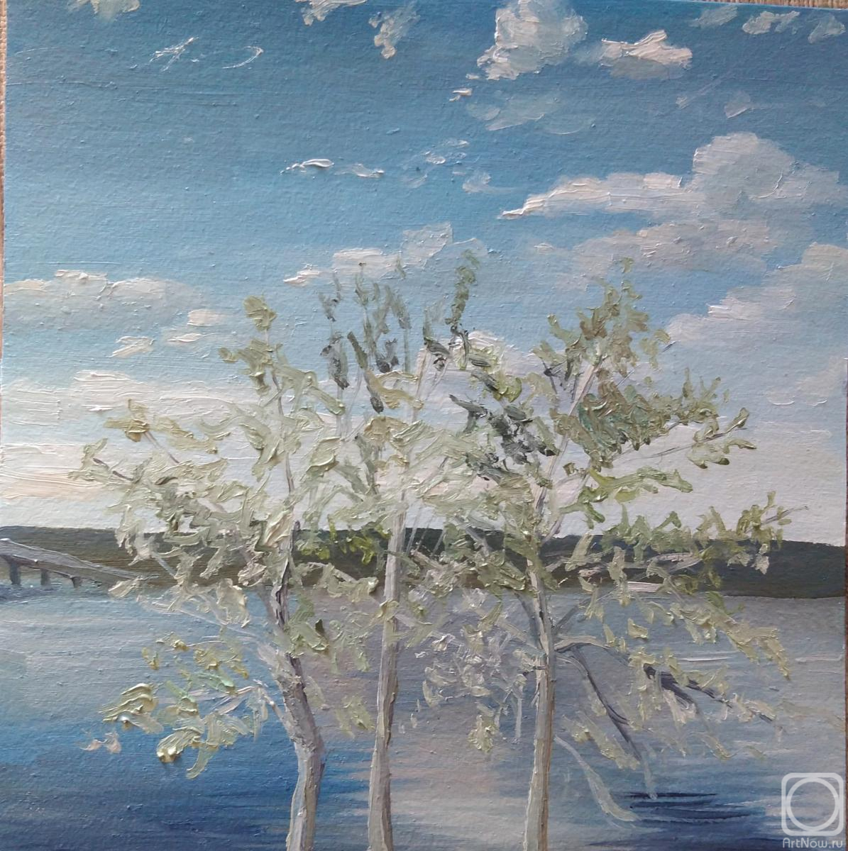 �������. ��������� ����. �����