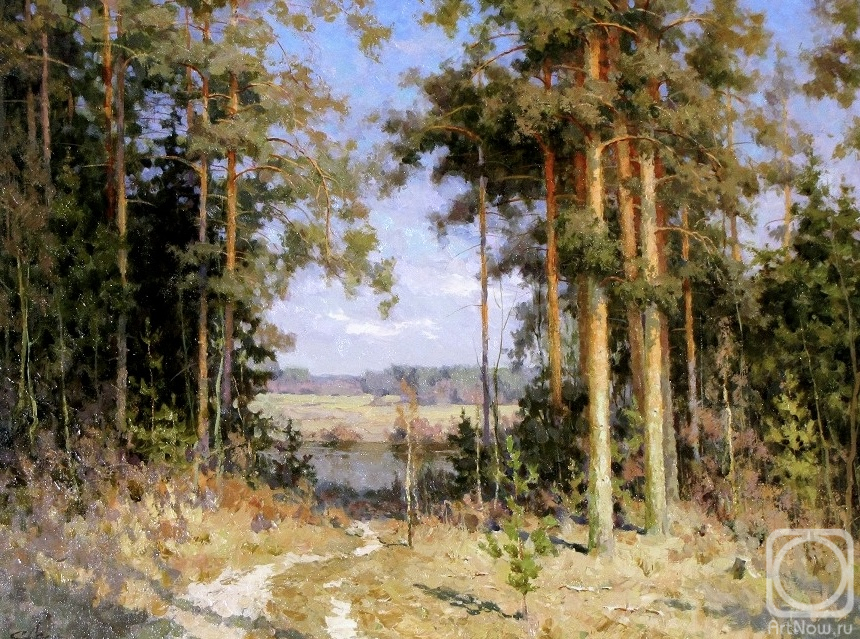 Demin Sergey. Path with pine trees