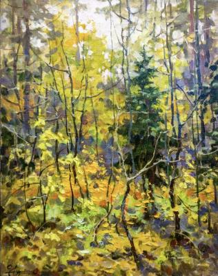 ����� 2010. ����� ������