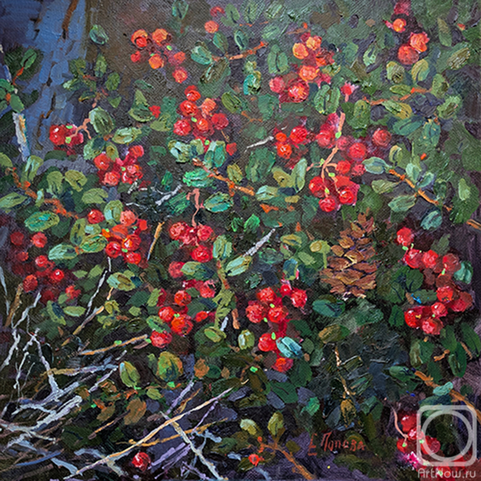 ������� ������ �� ������. ������ ���������. ��������