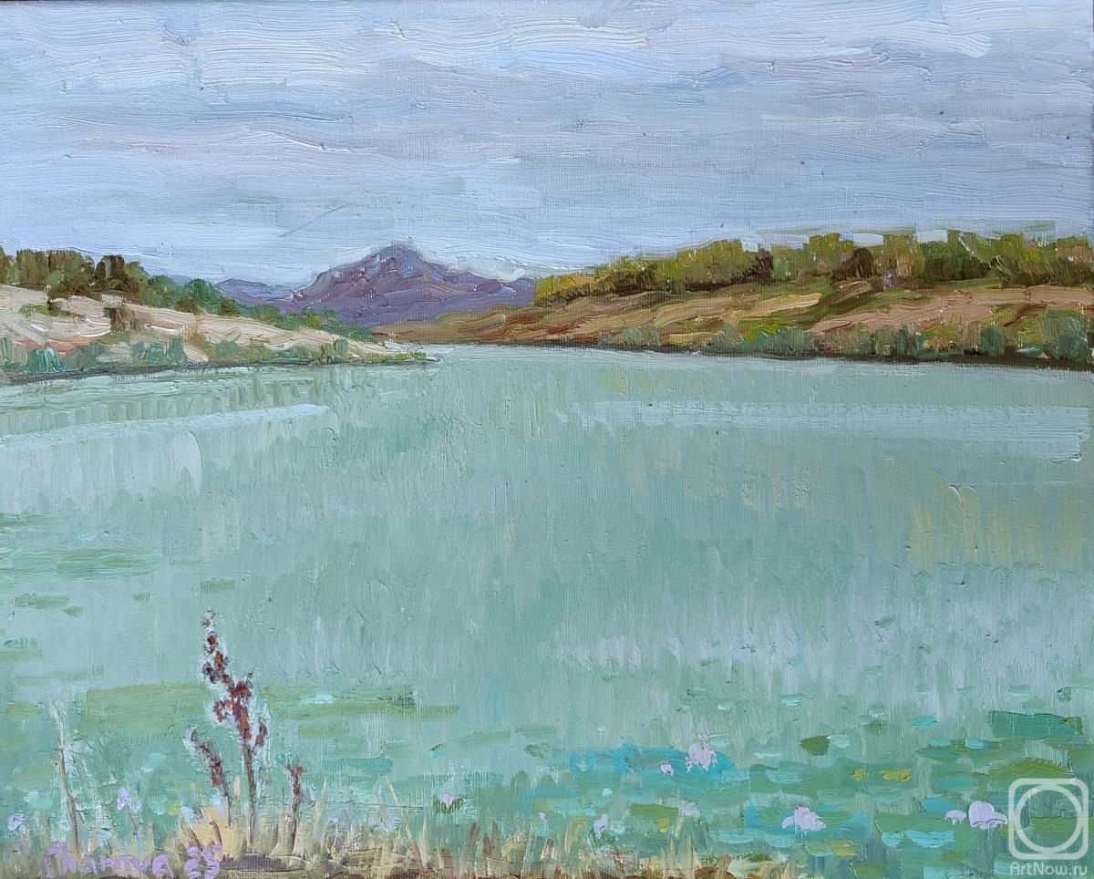 ������� ������ �� ������. ������ ������. ��������� ����