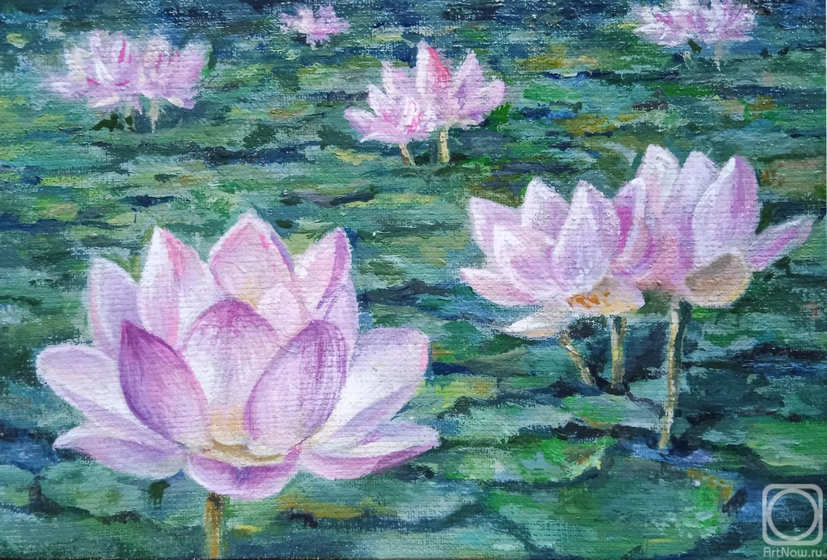 Rybina Olga. Untitled